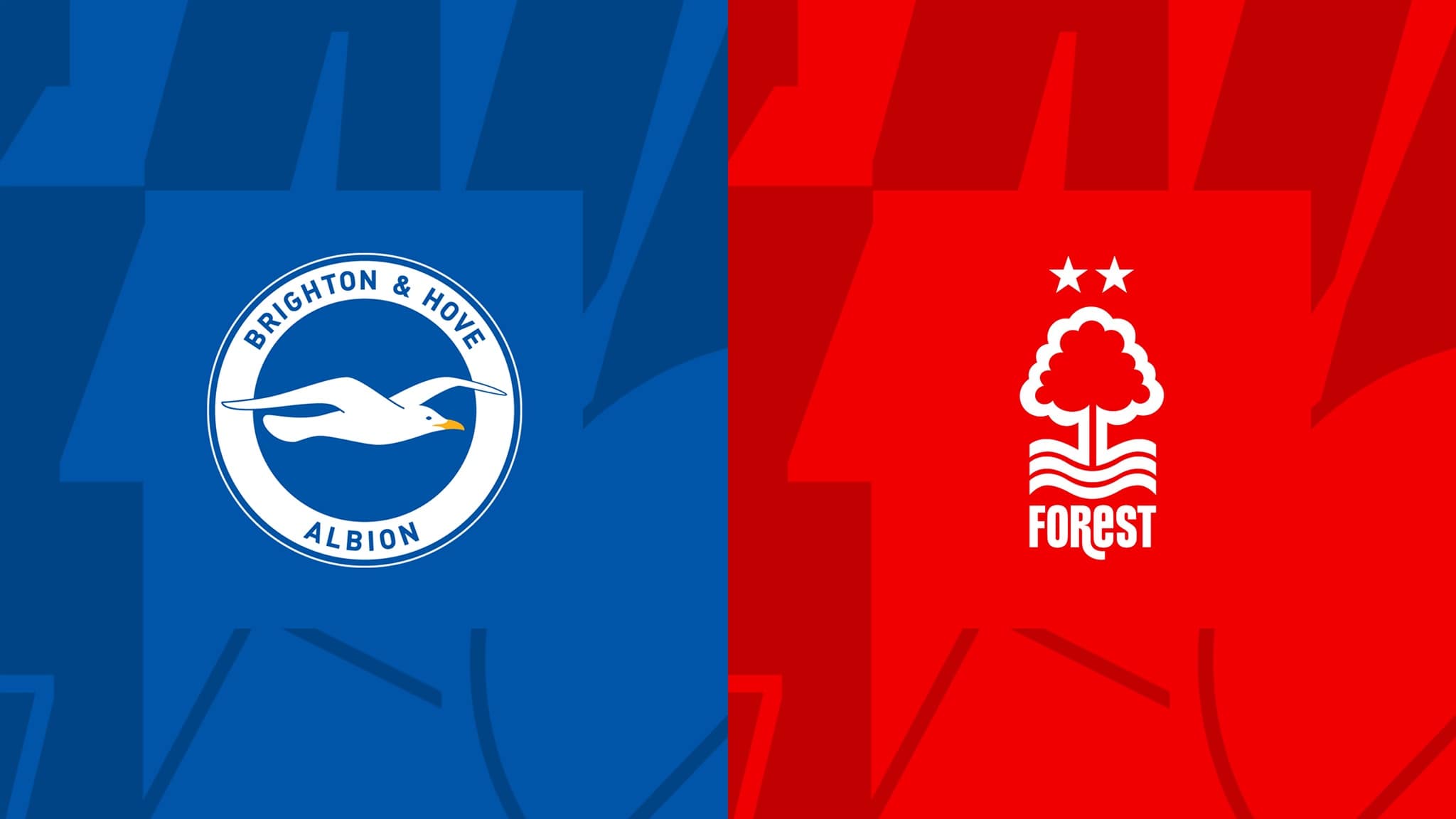 Prediksi Bola Brighton Vs Nottingham Forest 19 Oktober 2022