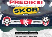 Prediksi Palmeiras vs Botafogo 28 Juni 2025: Perebutan Puncak Klasemen Brasil!